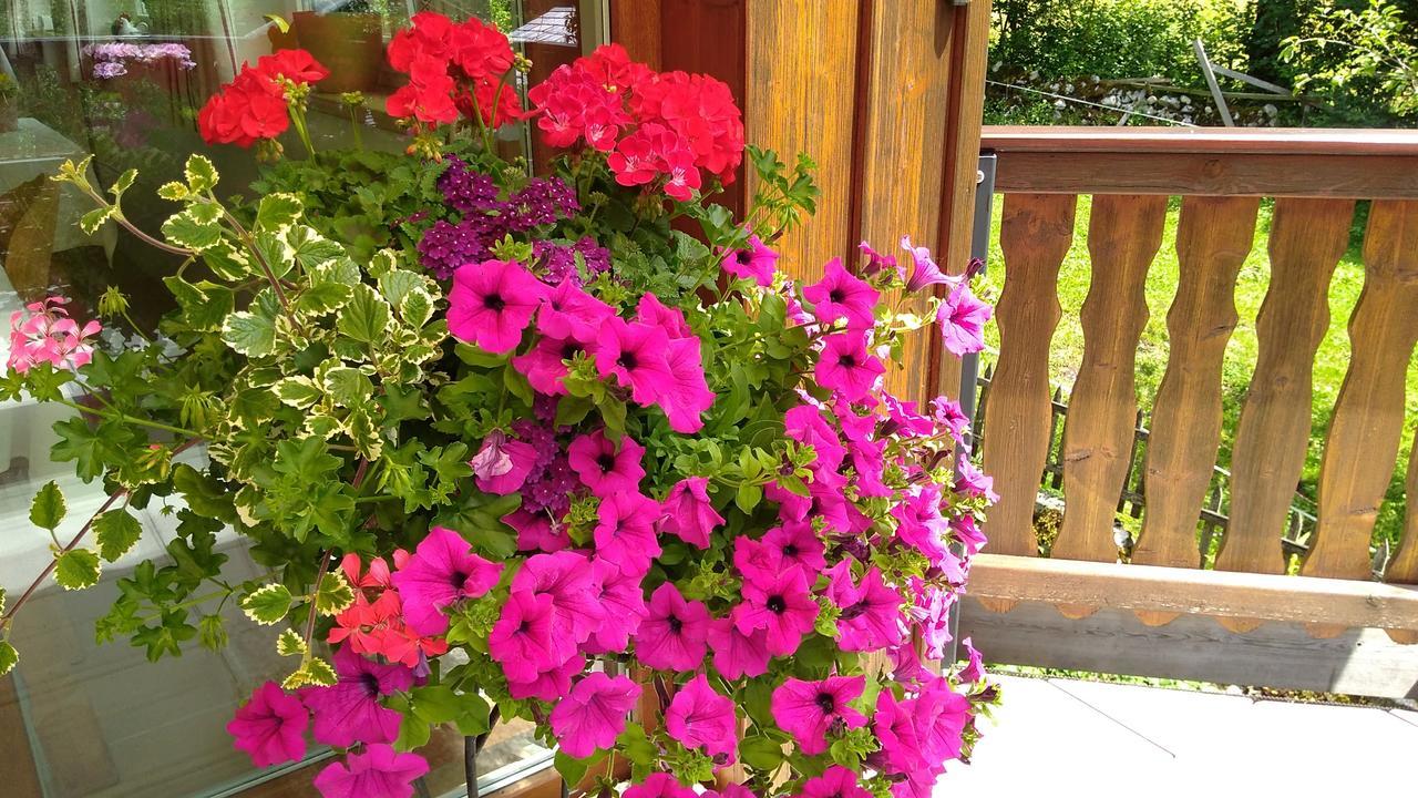 Haus Hepi Hotel Obertraun Exterior photo
